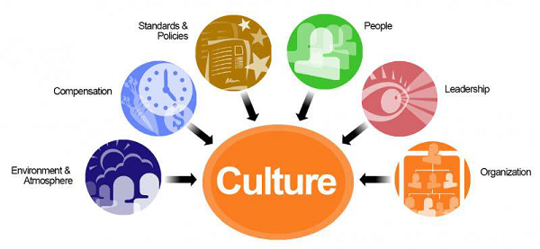 Benefits working with TechAvidus – Culture